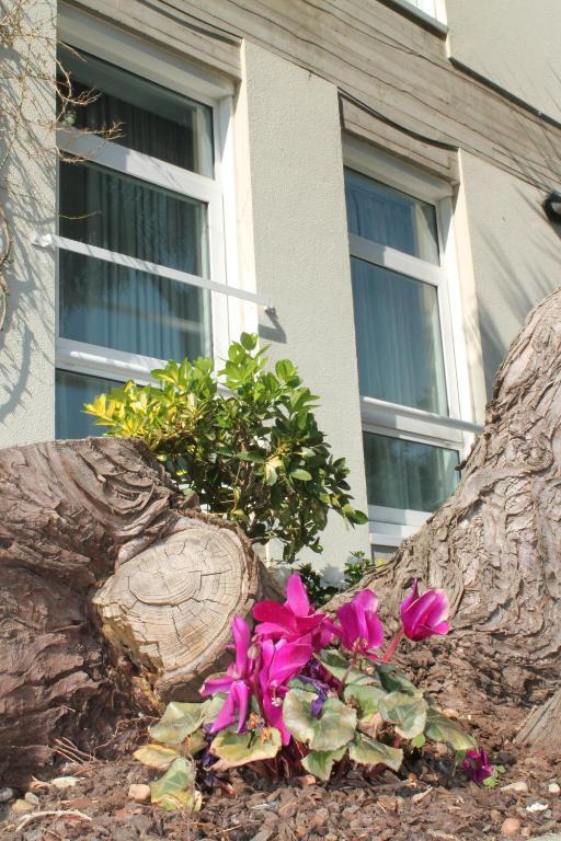 Loop Inn Hotel Santiago De Compostela Zewnętrze zdjęcie